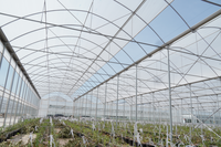 Serre de tomate à faible coût Film plastique multi-travée Serre en dents de scie Fabrication Fournisseur Serre avec système hydroponique