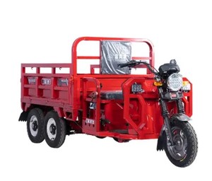 Triciclo de carga con motor de gasolina de 250cc, triciclo motorizado de dos asientos para adultos, triciclo de 3 ruedas. Sin reseñas aún. - Product Image 2