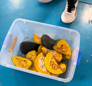 Máquina Cortadora de Frutas y Verduras de Alta Frecuencia Somaton, Motor de Acero Inoxidable 304, 380V 1800W, Alto Rendimiento, Capacidad de 1000-4000KG/H - Product Image 5