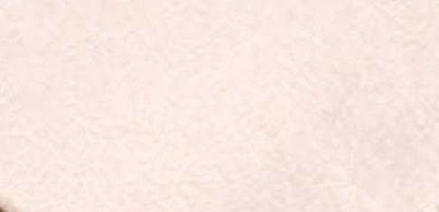 อินทรีย์แสงสีเบจ