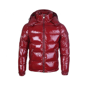 Nueva Chaqueta Acolchada Ecológica Ligera y Transpirable con Cuello Alto y Logotipo Frontal Reversible para Hombre y Mujer, para Clima Frío de Invierno 2025 - Product Image 4
