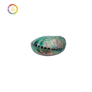 เปลือกหอยเป๋าฮื้อเปลือกหอยเคลือบเงาสีสันสดใสสำหรับฝังเครื่องประดับ - Product Image 4