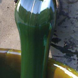 PROCESO TÉCNICO GOMA ACEITE/ETIQUETA LIMPIA/CALIDAD REFINADA - Product Image 4