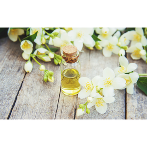 Aceite Esencial Puro al por Mayor, Jazmín Sambac Natural Destilado al Vapor, Revitalizador de Piel de Árbol de Té, Certificado GMP, Origen India, AARNAV - Product Image 4