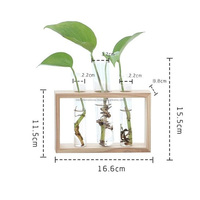 Bureau à domicile Décor de bureau intérieur station de propagation en verre hydroponique plante terrarium bois flotté vase tube à essai en bois flotté