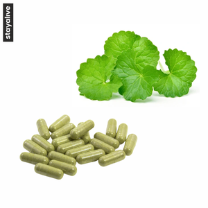 แคปซูล Centella Asiatica จากธรรมชาติและบริสุทธิ์100% | แคปซูล Gotu Kola | อาหารเสริมจากธรรมชาติ - Product Image 4