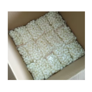 Coton de cocon de soie d'approvisionnement d'usine pour l'usage de textile et de beauté - Product Image 5