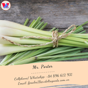 100% poudre fine de feuille de citronnelle pure un produit qui améliore la santé utilisé comme épice pendant les vacances de cuisine - Product Image 5