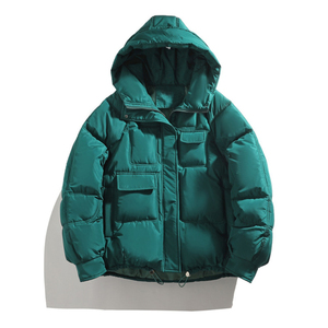 Veste d'hiver col montant extérieur décontracté épaissi chaud coton rembourré bulle doudoune - Product Image 4