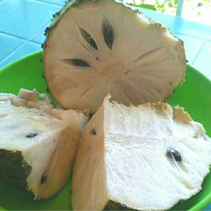 OFFRE EN GROS SOURSOP SANS GRAINES CONGELÉ PRÊT À L'EMPLOI PULPE DE FRUIT - Product Image 4