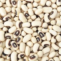 Black Eyed Peas Emballage sous vide en vrac séché sans OGM de haute qualité de qualité supérieure nouvelle récolte de l'année à vendre prêt à l'exportation
