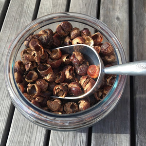 Noix de savon naturel de quantité en vrac en gros de meilleure qualité avec le prix le moins cher de l'usine de confiance - Product Image 3