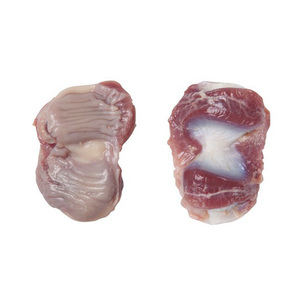 Gizzards de Pollo Halal Congelados, Corazones de Pollo Frescos Congelados - Product Image 6