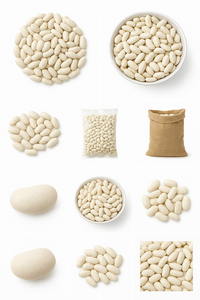 ถั่วขาวธรรมชาติขายส่งยอดนิยม ถั่วขาวน้ำตาล ถั่วขาวพันธุ์ใหม่สำหรับขาย - Product Image 4