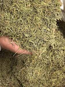 Hojas de Romero Secas AD de Grado Premium, Procesamiento Crudo, Hierba Orgánica, Especias Individuales, Condimento para Barbacoa, Certificado ISO22000 - Product Image 5