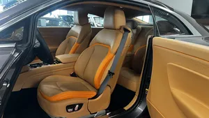 Cargador de Batería de Litio para Automóvil con Carga Rápida 2024 R0LLZ-R0YCE Spektre EV NEDC - Product Image 3