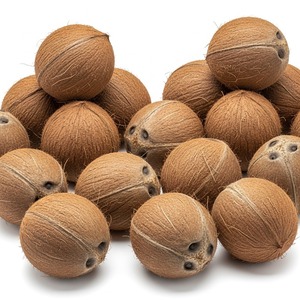 Cocos frescos y maduros de fincas de confianza semicuscados al por mayor disponibles para la industria de procesamiento de alimentos y bebidas - Product Image 1