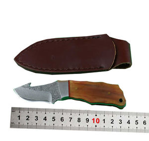 Cuchillo de cocina de hoja fija de acero de Damasco forjado con mango de madera Proveedor de logotipo personalizado OEM de Pakistán - Product Image 6