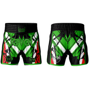 Ropa de boxeo con logotipo personalizado de alta calidad, chaleco de boxeo y pantalones cortos para hombre, pantalones cortos MMA Muay Thai, ropa de artes marciales MMA, uniforme de boxeo - Product Image 3