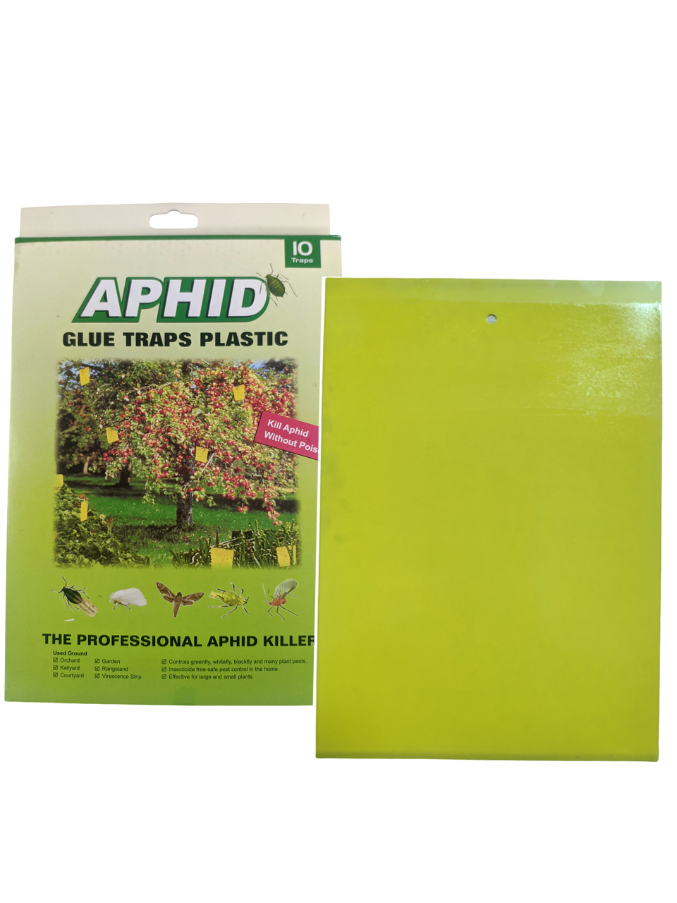 สีเหลือง