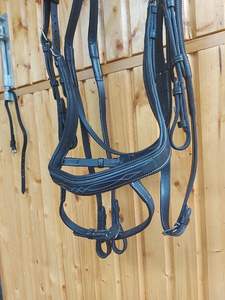 Brida y riendas de caballo: negra, brida de patente de mazorca, brida de caballo de cuero genuino colorida de lujo en la India - Product Image 6