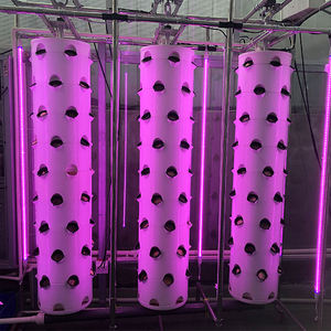 Sistemas Hidropónicos de Alto Rendimiento con Torre Aeropónica para la Producción de Cultivos en Interiores - Product Image 3