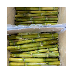 Caña de azúcar congelada IQF para fábrica de procesamiento de jugo Palo de caña de azúcar de corte fresco Sabor dulce Envasado al vacío para exportación - Product Image 1