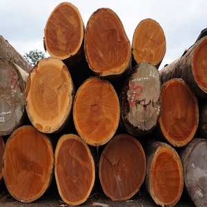Premium Quality Mussivi Mussibi Round <b>Logs</b> From US Low Price Rough Fast Delivery Available - Product Image 6