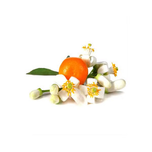 Aceite esencial sintético de neroli puro de buena calidad más vendido al precio más bajo - Product Image 1