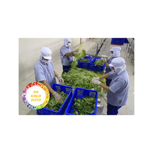 VENTE EN GROS DE SAVOUREUX FEUILLES DE MANIOC DU VIETNAM FOURNISSEUR FERME BON INGRÉDIENT POUR LES PLATS DE CUISINE LOCALE - Product Image 3