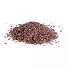 Semi di 100 semi di fragola bianchi naturali biologici Hobby giardino semi di fragola