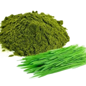 Poudre d'extrait de plantes de qualité supérieure Herbe de blé en bouteille Tambour Can et emballage Mason Jar - Product Image 1