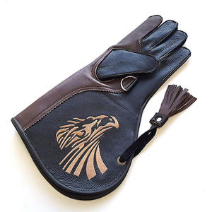 Gants de fauconnerie en cuir pour la chasse à l'aigle-Personnalisables portables et écologiques - Product Image 1
