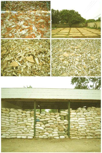 High Quality <b>Crab</b> <b>Shell</b> Powder Eco-Friendly Material PP for Fish Low Price - Product Image 3