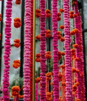 Guirlande de souci rose avec ensemble de souci orange pour décoration Haldi décoration suspendue pour décors, Mandap, fournitures d'événements