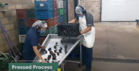 Machine de production d'huile comestible automatique à haut rendement, capacité de 750 kg/h pour les huiles d'olive, de soja, de sésame, de noix et de noix de coco