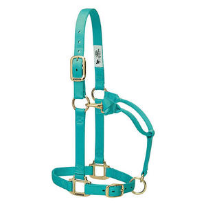 Professionnel anglais cuir licou marron doux rembourré cuir laiton matériel Durable confortable équestre Tack - Product Image 2