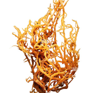 Mousse de mer irlandaise pure et biologique (Seamoss Gold-Purple-Chondrus Crispus) séchée FD pour une infusion de saveur unique en 2025 - Product Image 3