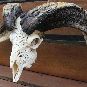 Cráneo de toro de búfalo y carnero hecho a mano con cuernos majestuosos, arte de pared cultural moderno y decoración de soporte para interiores sofisticados - Product Image 1