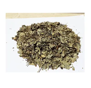 Single Spices Products Exporter of Superior Quality Dried Bay Laura Leaf/ Bay Leaves at Reasonable Market Price