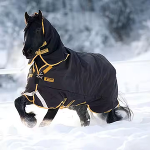 Winter-Ready 1200D <b>Waterproof</b> Equestrian Combo Turnout Horse Rug Breathable Horse Racing <b>Blanket</b> in White - Product Image 3