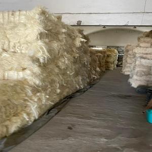 Premium Quality Sisal <b>Fiber</b> for Gypsum Hair Buy Now Wholesale Price Textile Sisal <b>Fiber</b> In Stock Fast Delivery for Your Projects - Product Image 6