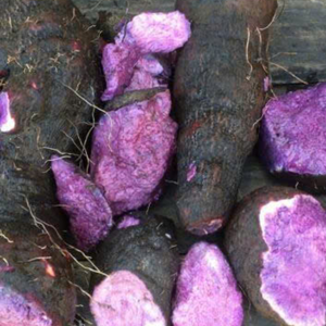 มันเทศสีม่วงแช่แข็งจากธรรมชาติทั้งหมด | ฉลากสะอาดเกรดพรีเมี่ยมสำหรับผลิตภัณฑ์อาหารพร้อมปรุง - Product Image 6