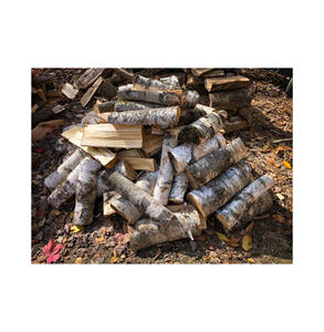 Troncos de abedul de madera dura directamente de fábrica, medidas con la corteza intacta para una cálculo precisa del volumen y comercio transparente al por mayor. - Product Image 3