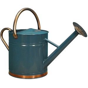 Top Trending Premium Quality Nice Looking Attractive Stylish Enamel Printed Metal Water <b>Cane</b> at Affordable Price - Product Image 5
