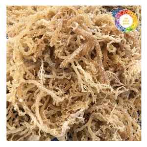 Type Eucheuma d'algues cottoni séchées au soleil de qualité supérieure du Vietnam Idéal pour la fabrication de carraghénanes à l'exportation et l'utilisation d'aliments santé - Product Image 4
