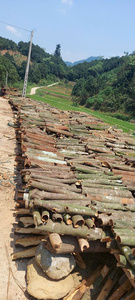 2026 Especias Crudas Secas de Pimienta de Jamaica de Calidad de Exportación en Forma de Cubo para Consumo Humano - Product Image 2