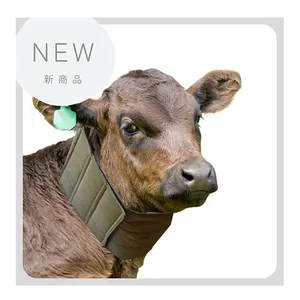 Farm Photoelectron Dairy Livestock Animal Welfare Calves Winter Neck Warmer