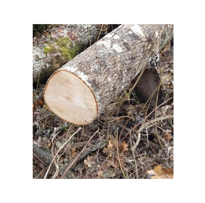 Bûches de frêne blanc allemand de qualité supérieure avec stricts critères de calibrage conformes aux normes européennes HKS pour l'exportation - Product Image 1