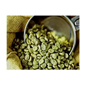 로부스타 커피 로부스타 커피 가격 브라질 세척 공정 품질 로부스타 그린 커피 콩 원두 도매